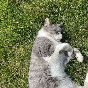 Meet your Posher, Sammy